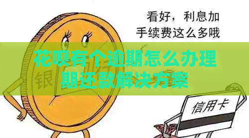 花呗有个逾期怎么办理期还款解决方案