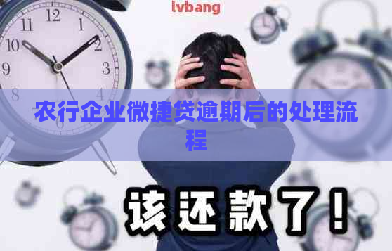 农行企业微捷贷逾期后的处理流程