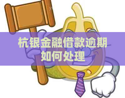 杭银金融借款逾期如何处理