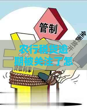 农行税贷逾期被关注了怎么办