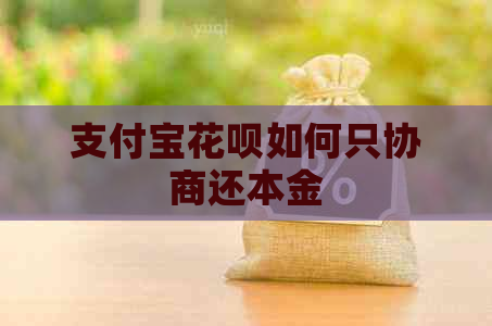 支付宝花呗如何只协商还本金