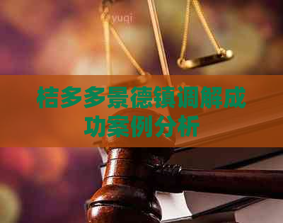 桔多多景德镇调解成功案例分析