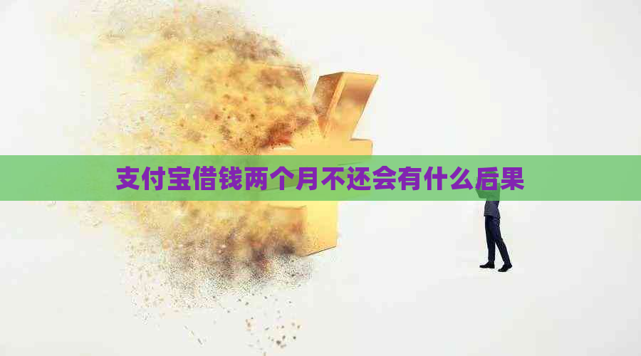 支付宝借钱两个月不还会有什么后果