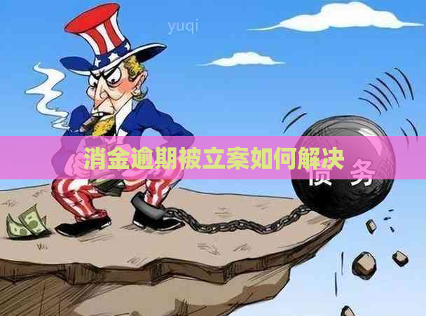 消金逾期被立案如何解决