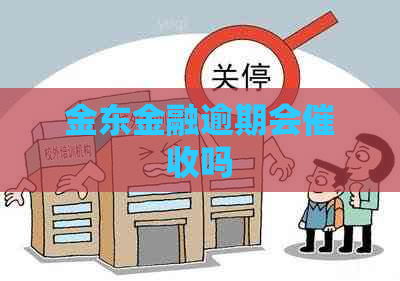 金东金融逾期会吗