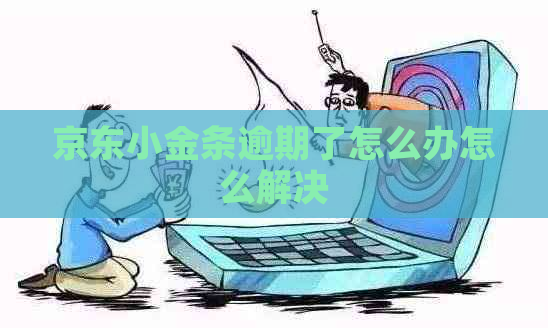 京东小金条逾期了怎么办怎么解决