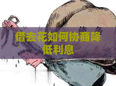 借去花如何协商降低利息