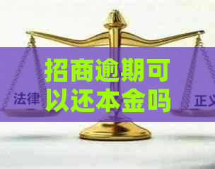 招商逾期可以还本金吗怎么还