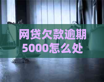 网贷欠款逾期5000怎么处理