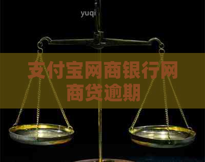 支付宝网商银行网商贷逾期