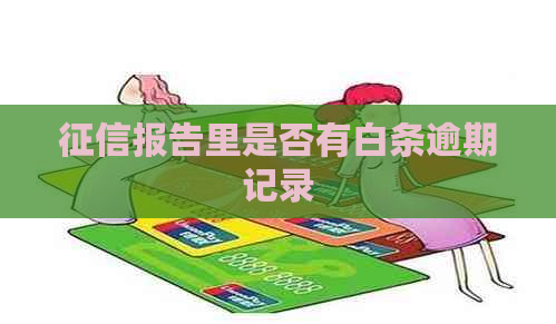 报告里是否有白条逾期记录