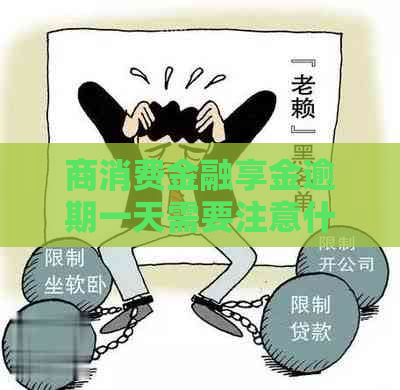 商消费金融享金逾期一天需要注意什么