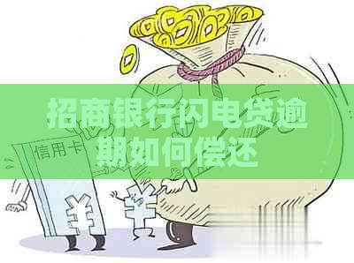 招商银行闪电贷逾期如何偿还