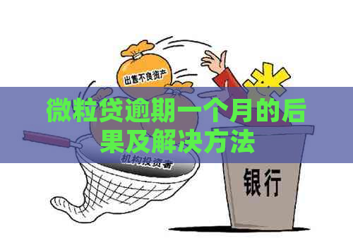 微粒贷逾期一个月的后果及解决方法