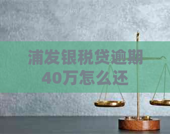 浦发银税贷逾期40万怎么还