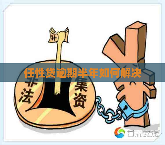 任性贷逾期半年如何解决