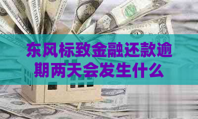 东风标致金融还款逾期两天会发生什么