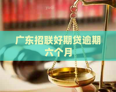 广东招联好期贷逾期六个月