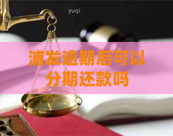 浦发逾期后可以分期还款吗