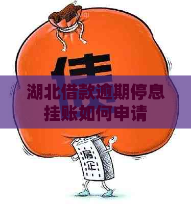 湖北借款逾期停息挂账如何申请