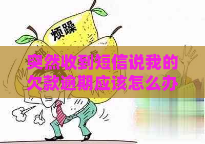 突然收到短信说我的欠款逾期应该怎么办