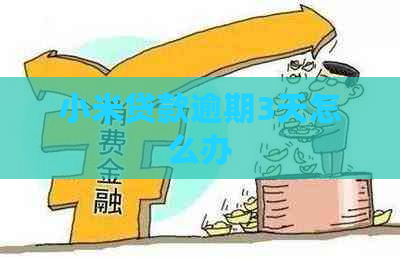 小米贷款逾期3天怎么办