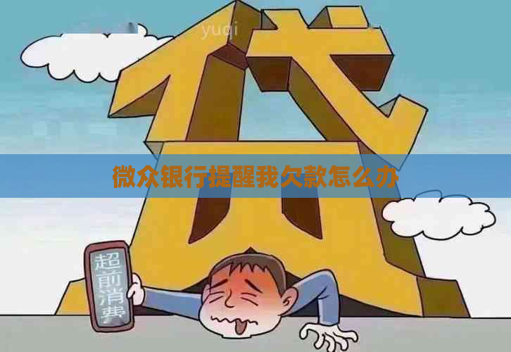 微众银行提醒我欠款怎么办