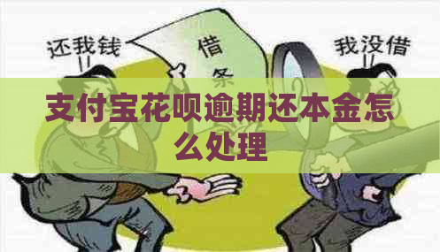 支付宝花呗逾期还本金怎么处理