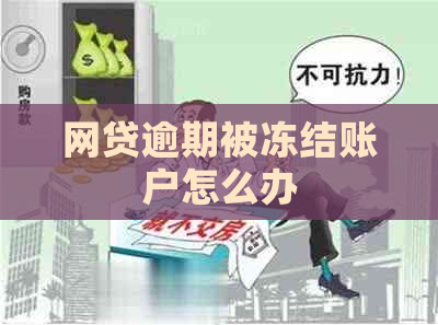 网贷逾期被冻结账户怎么办