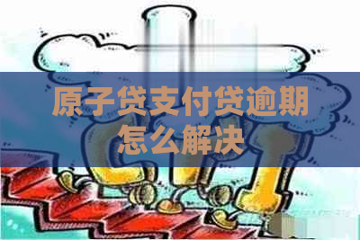 原子贷支付贷逾期怎么解决