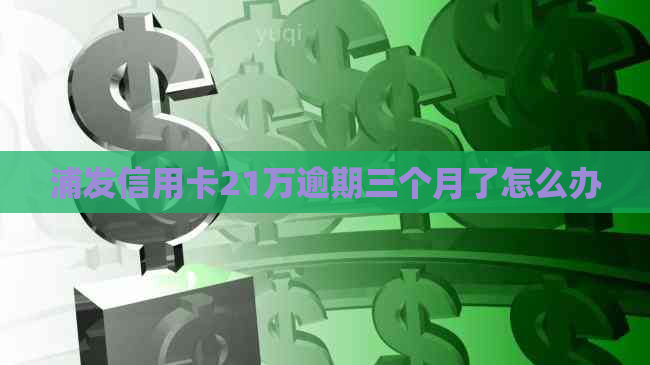 浦发信用卡21万逾期三个月了怎么办