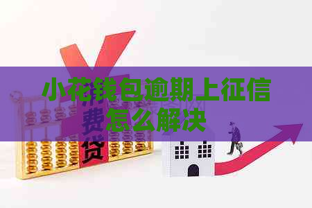 小花钱包逾期上怎么解决