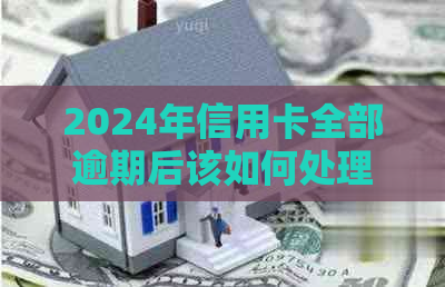 2024年信用卡全部逾期后该如何处理