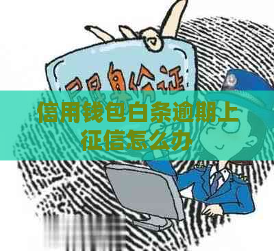 信用钱包白条逾期上怎么办