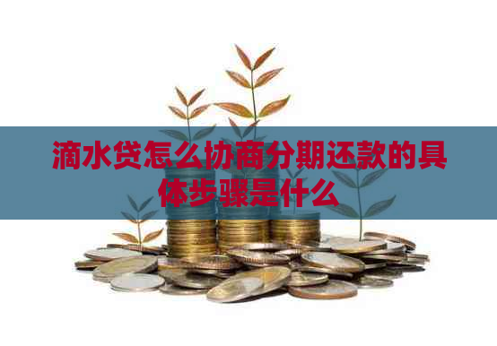 滴水贷怎么协商分期还款的具体步骤是什么