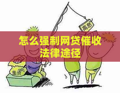 怎么强制网贷法律途径