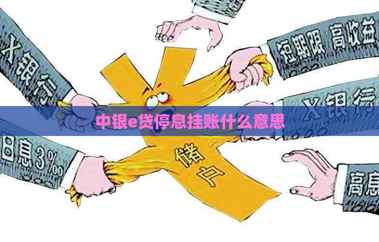 中银e贷停息挂账什么意思