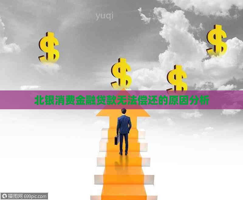 北银消费金融贷款无法偿还的原因分析