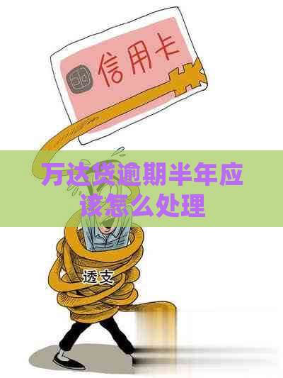 万达贷逾期半年应该怎么处理