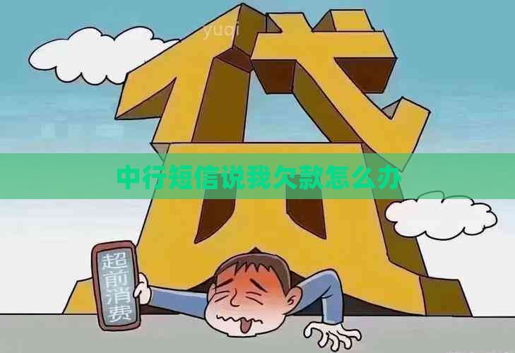 中行短信说我欠款怎么办