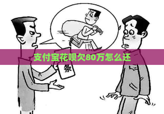 支付宝花呗欠80万怎么还