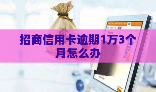 招商信用卡逾期1万3个月怎么办