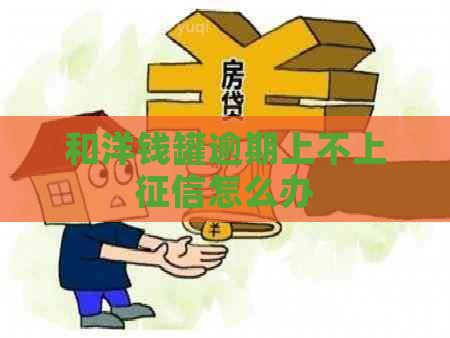 和洋钱罐逾期上不上怎么办