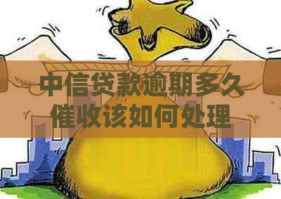 中信贷款逾期多久该如何处理