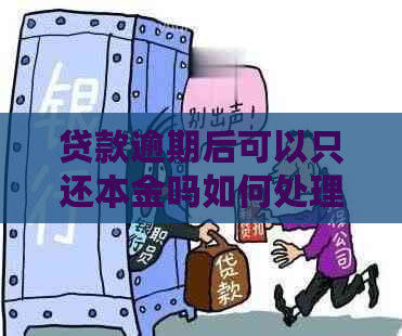 贷款逾期后可以只还本金吗如何处理