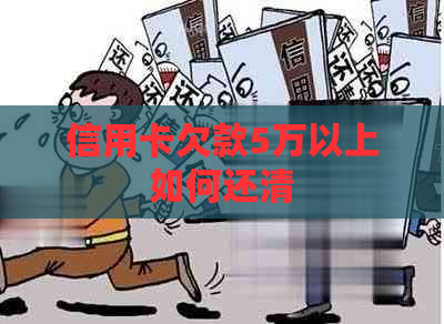 信用卡欠款5万以上如何还清