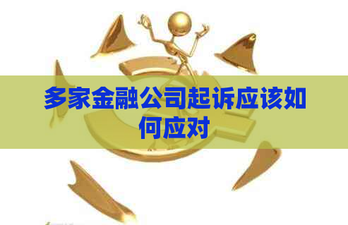 多家金融公司起诉应该如何应对