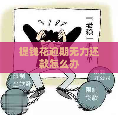 提钱花逾期无力还款怎么办