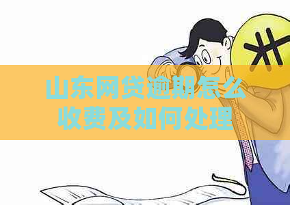 山东网贷逾期怎么收费及如何处理