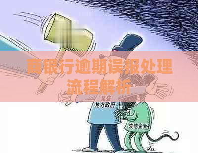 商银行逾期误报处理流程解析